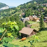 Panoramapark Soleil C