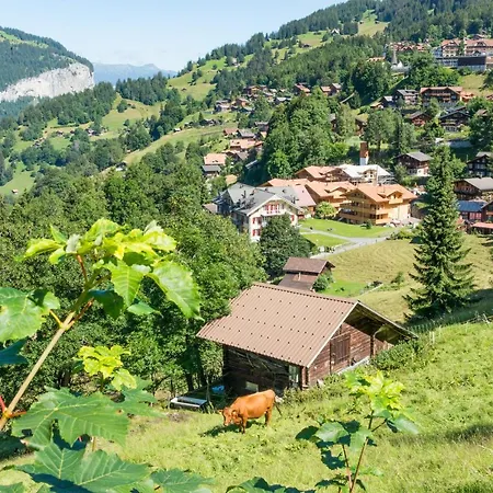 Panoramapark Soleil C