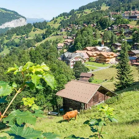Panoramapark Soleil C