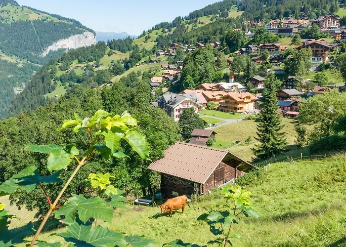 Panoramapark Soleil C